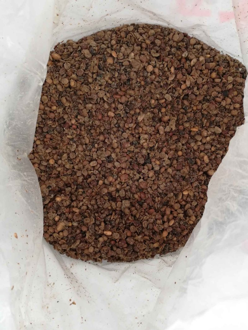 发酵大豆厂价直供质优价廉