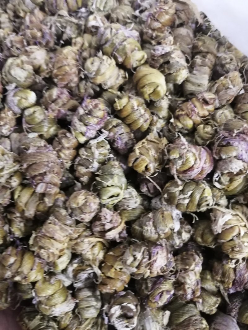 金福堂铁皮石斛枫斗.肉质饱满.货源稳定.一手货源