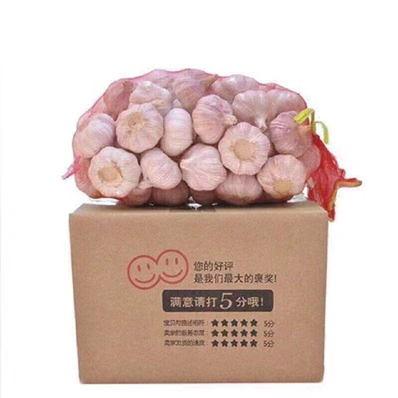金乡大蒜，太空二号，个大皮厚，紫皮红亮。