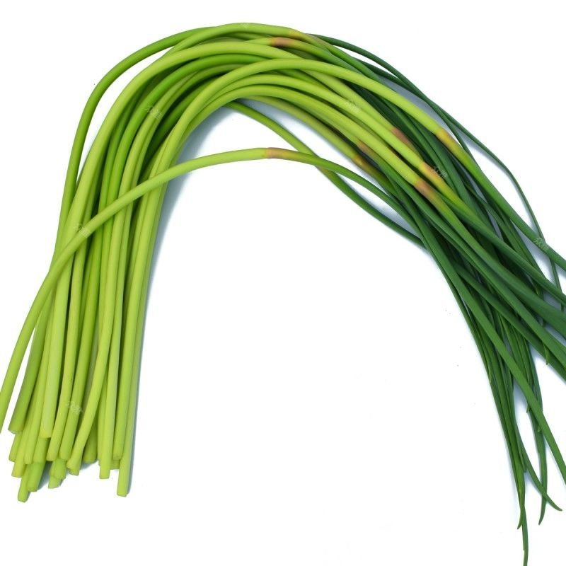 金乡蒜苔冷库蒜苔正在上市中需要联系