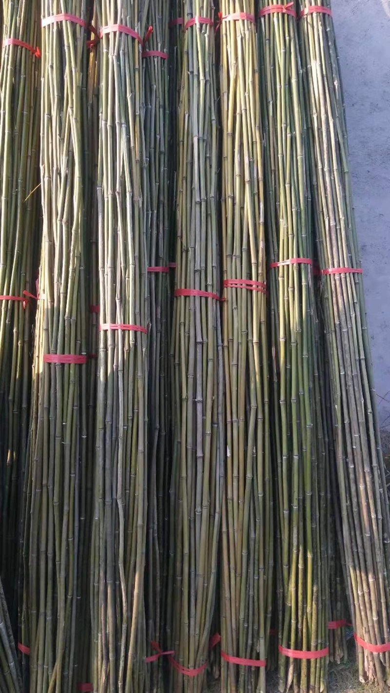 【推荐】菜架竹、豆角架，货场直供，全网低价