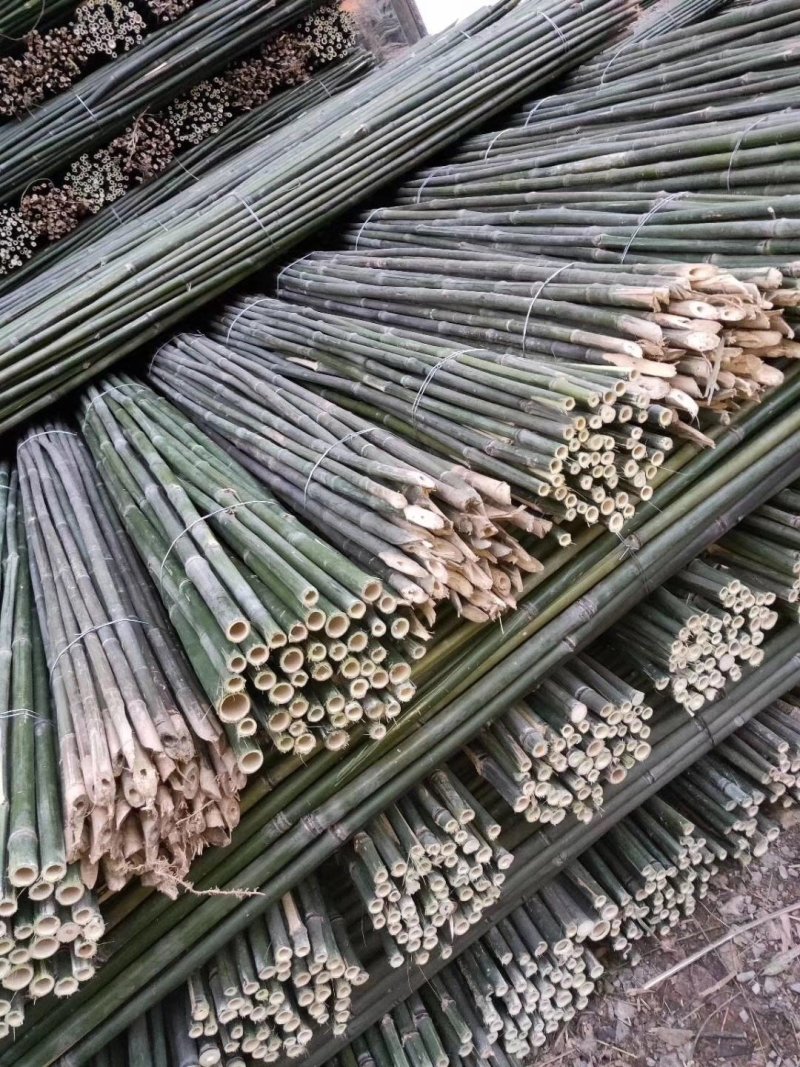 【推荐】菜架竹、豆角架，货场直供，全网低价