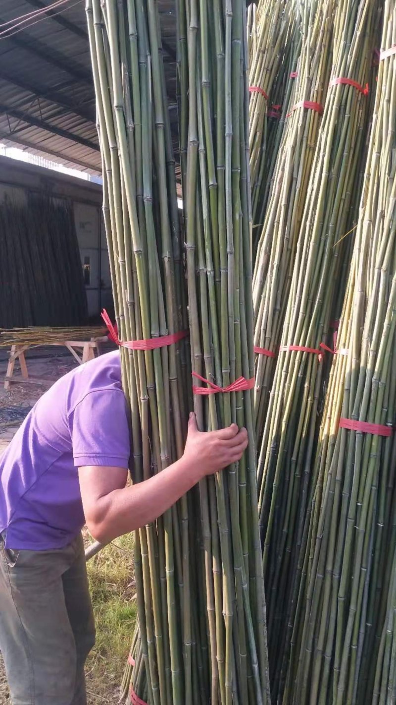 【推荐】菜架竹、豆角架，货场直供，全网低价