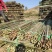 【推荐】菜架竹、豆角架，货场直供，全网低价