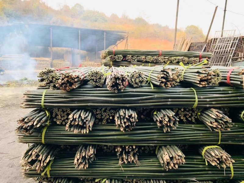 【推荐】菜架竹、豆角架，货场直供，全网低价
