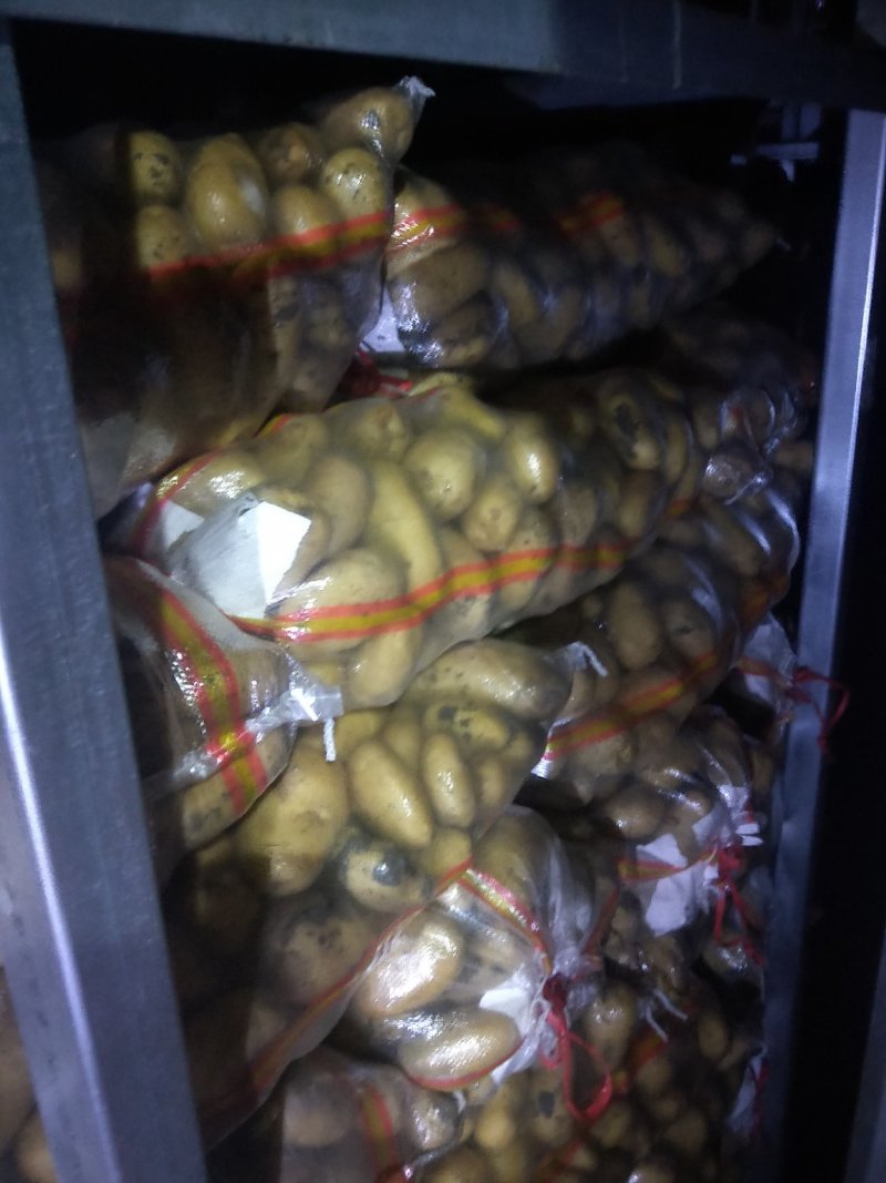 精品土豆大量有货以质论价合作共赢