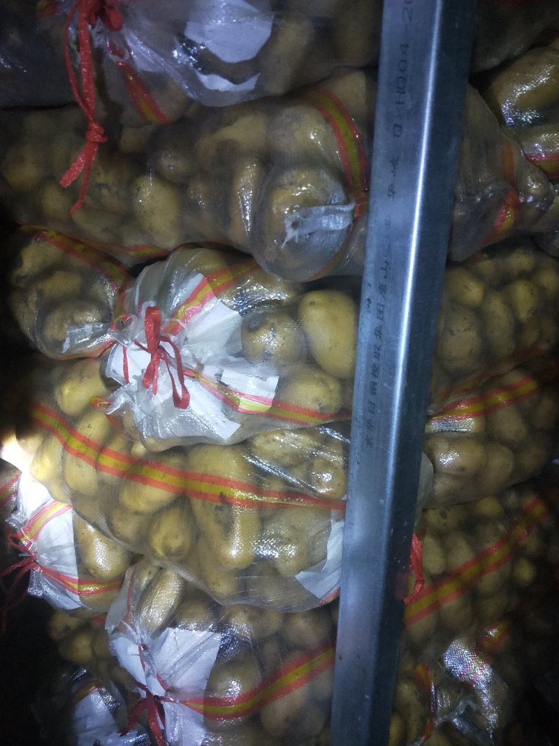 精品土豆大量有货以质论价合作共赢