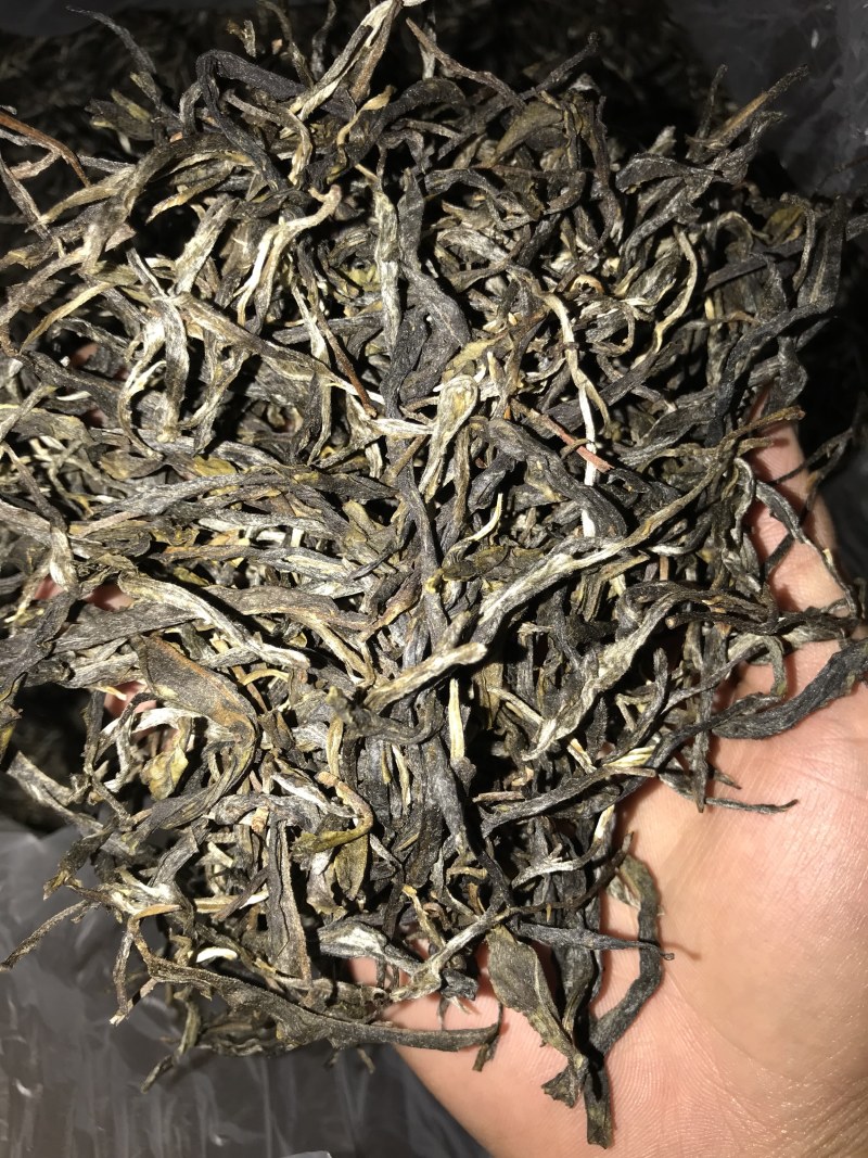 大雪山（单株王1号）散料