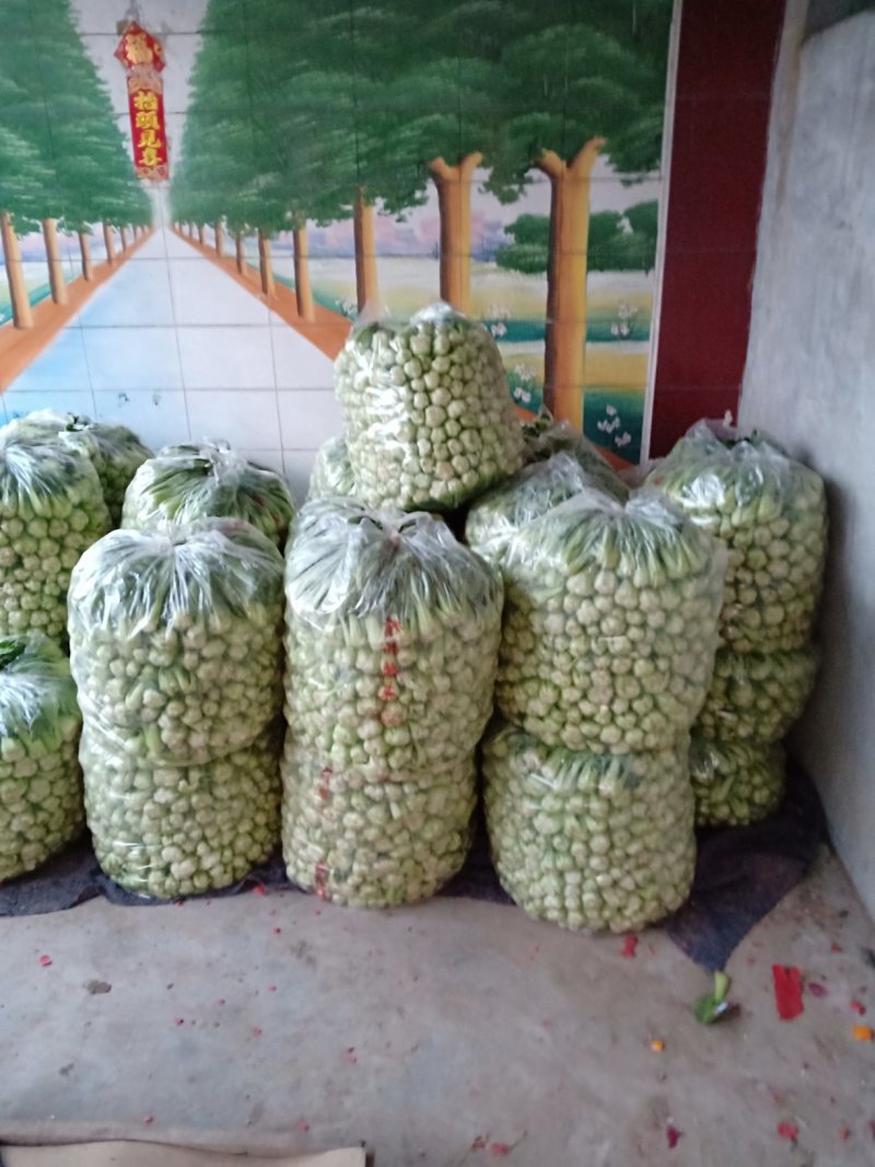 大量有货