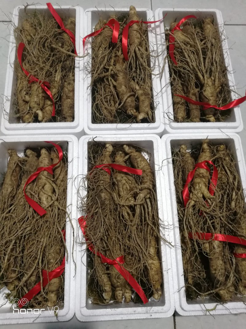《包邮》长白山人参蜜片可以当糖吃食用方便吉林东北土特产