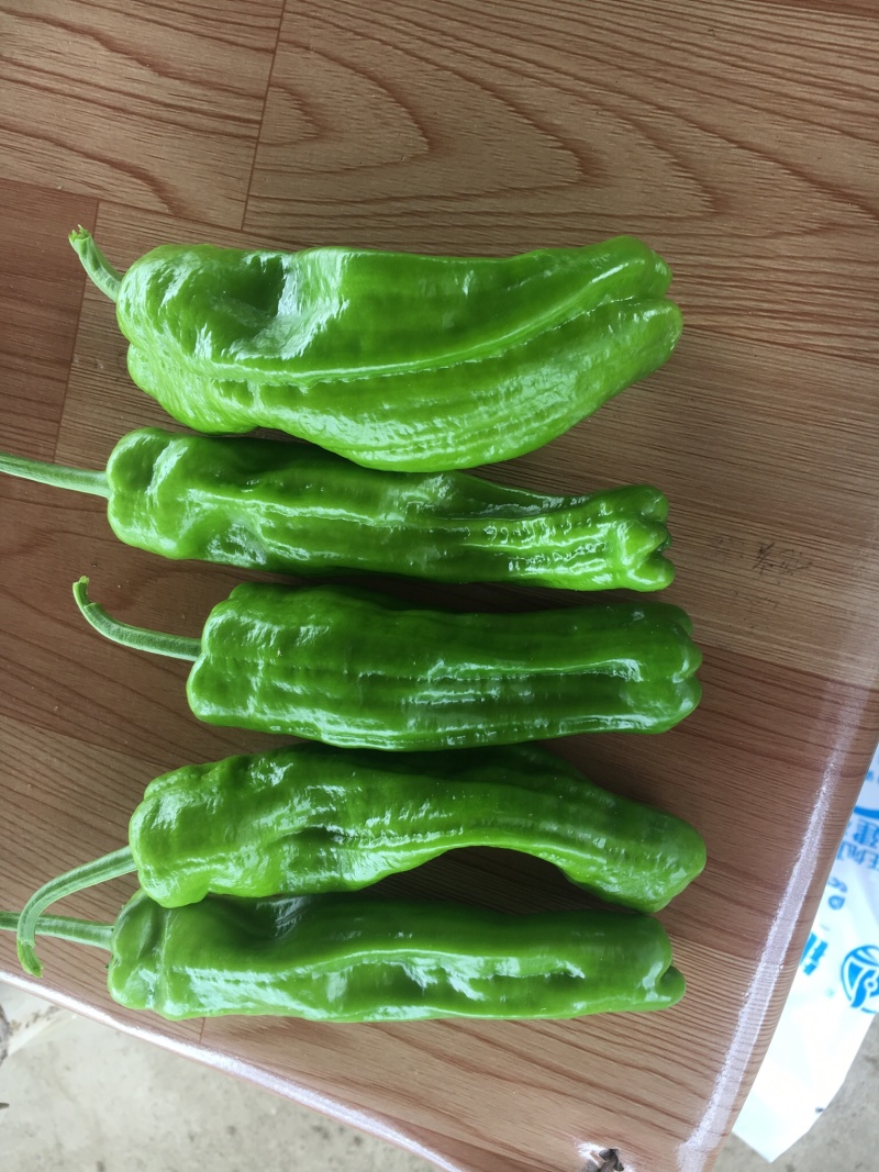 泡椒