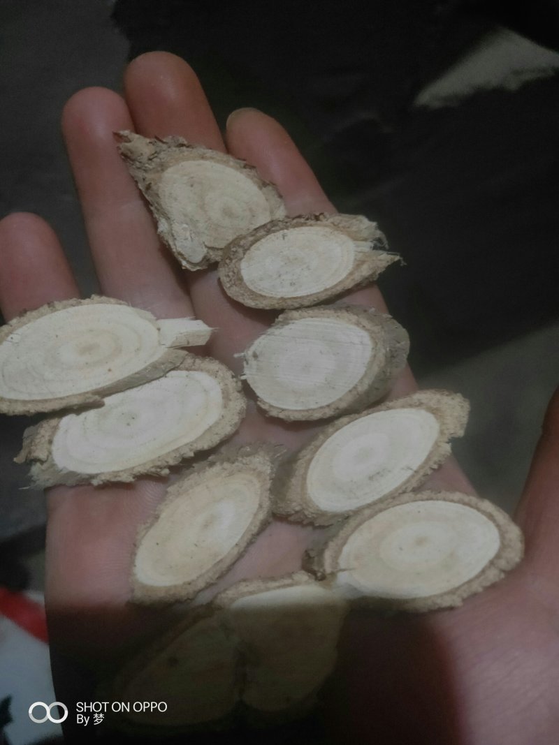 鸟不企根茎片子鸟不落鹰不扑朴鸟不宿鸟不企乌鸦不企树