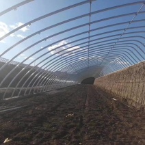 大棚大棚骨架连栋大棚镀锌大棚杆大棚骨架大棚管