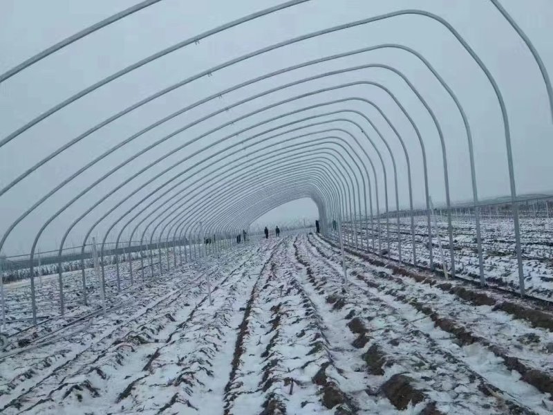 大棚大棚骨架连栋大棚镀锌大棚杆大棚骨架大棚管