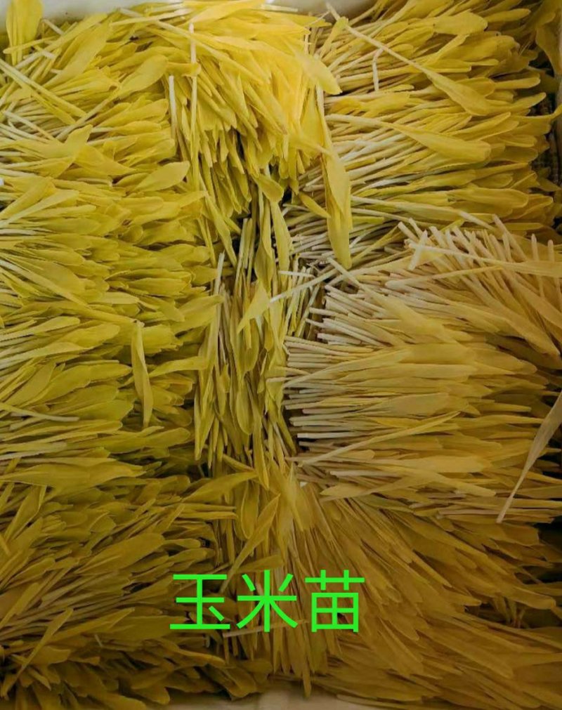 #三色堇#食用花卉#