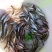 黄鳝苗鳝鱼苗，各种鱼苗出售，全程技术指导，检测水质。