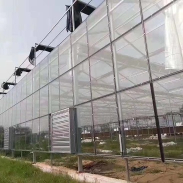大棚养殖棚养殖鸡，养殖鸭养猪大棚亏本冲量，热镀锌十年保障
