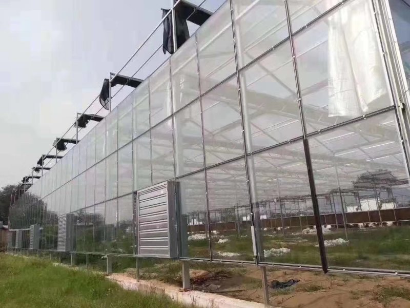 大棚养殖棚养殖鸡，养殖鸭养猪大棚亏本冲量，热镀锌十年保障
