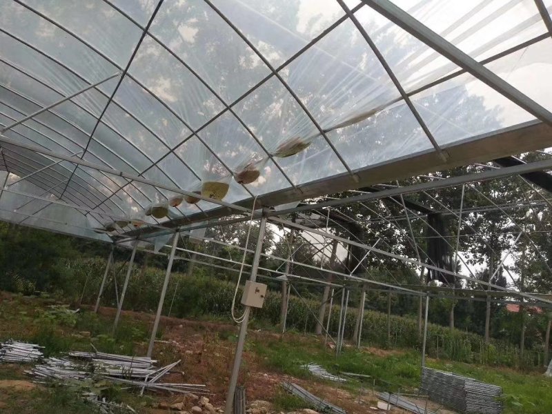 大棚养殖棚养殖鸡，养殖鸭养猪大棚亏本冲量，热镀锌十年保障