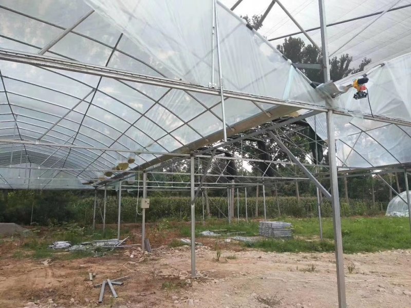大棚养殖棚养殖鸡，养殖鸭养猪大棚亏本冲量，热镀锌十年保障