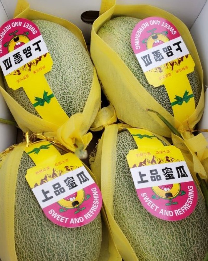哈密瓜
