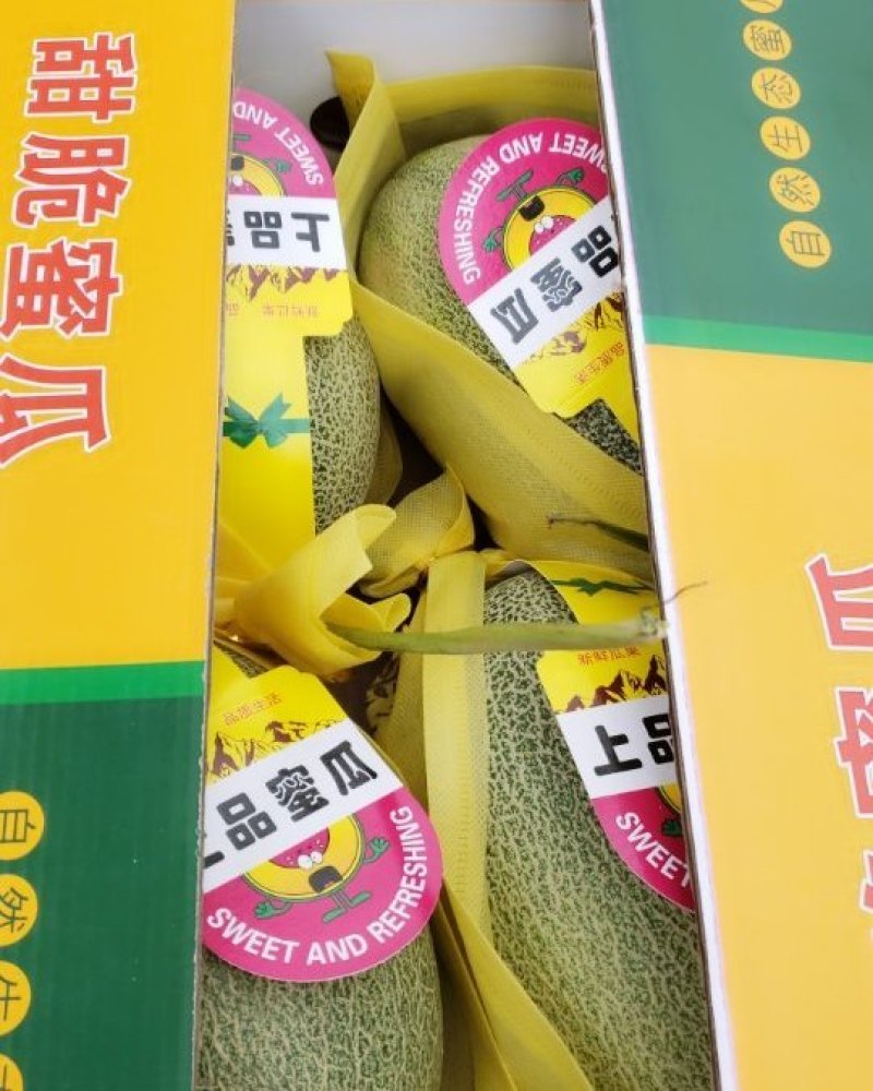 哈密瓜