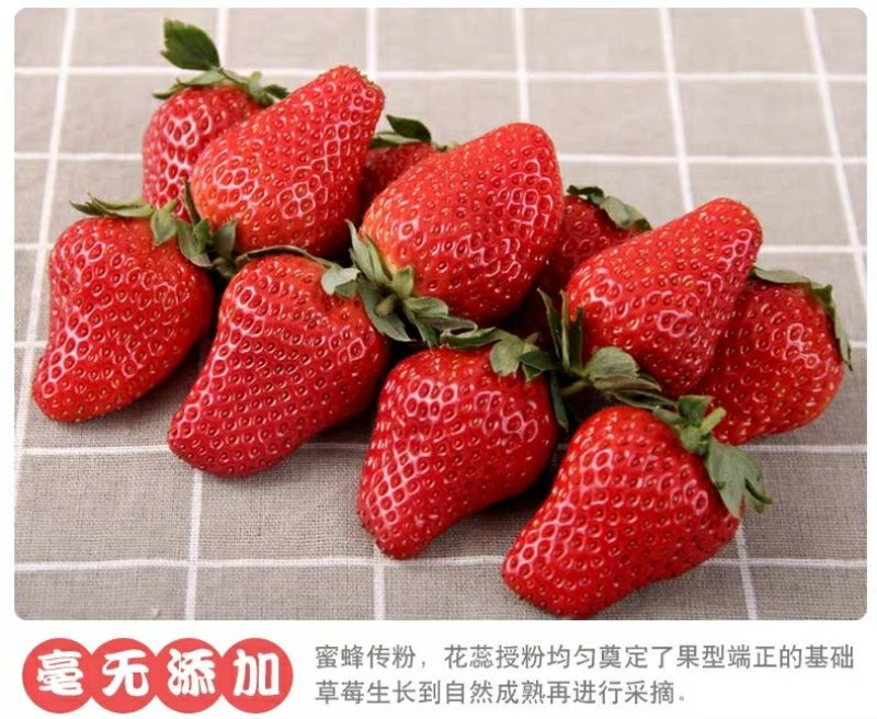 红颜奶油草莓