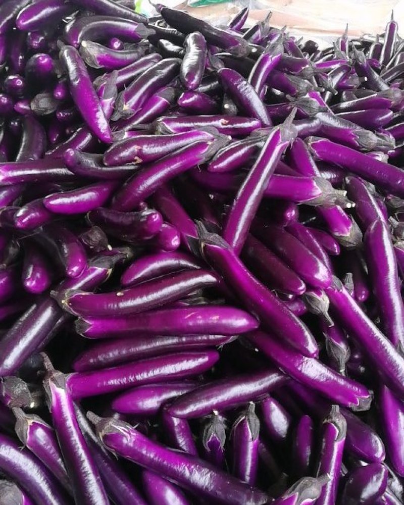 茄子