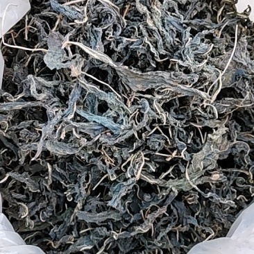 干芝麻叶