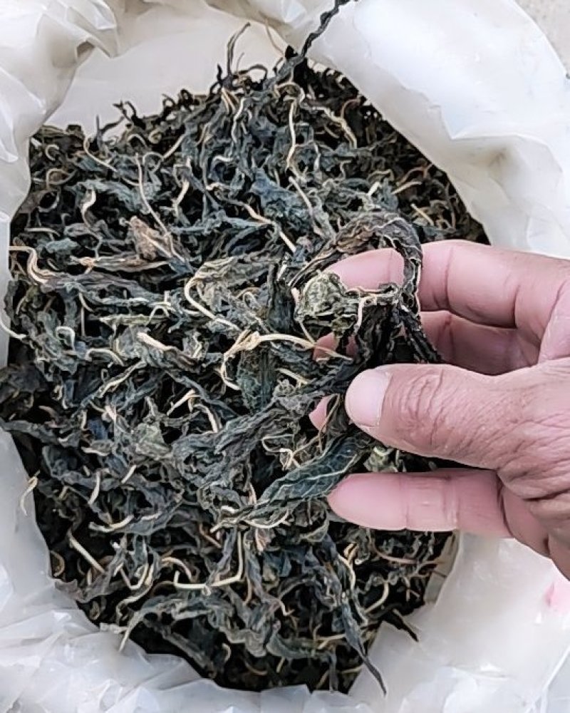 干芝麻叶