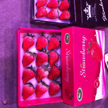 四川红颜草莓礼盒.巧克力草莓。万亩产区。日产万斤