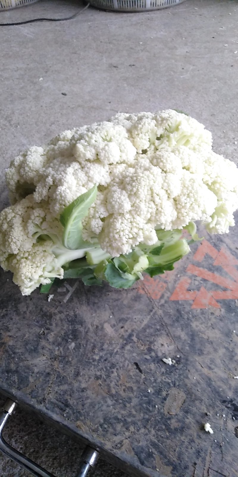 散花，松花，蔬菜，整车供应，有机花河北菜花，产区直发，