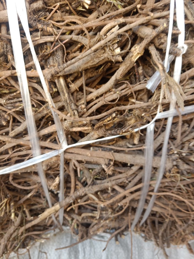 北柴胡药厂货干净无杂含量足