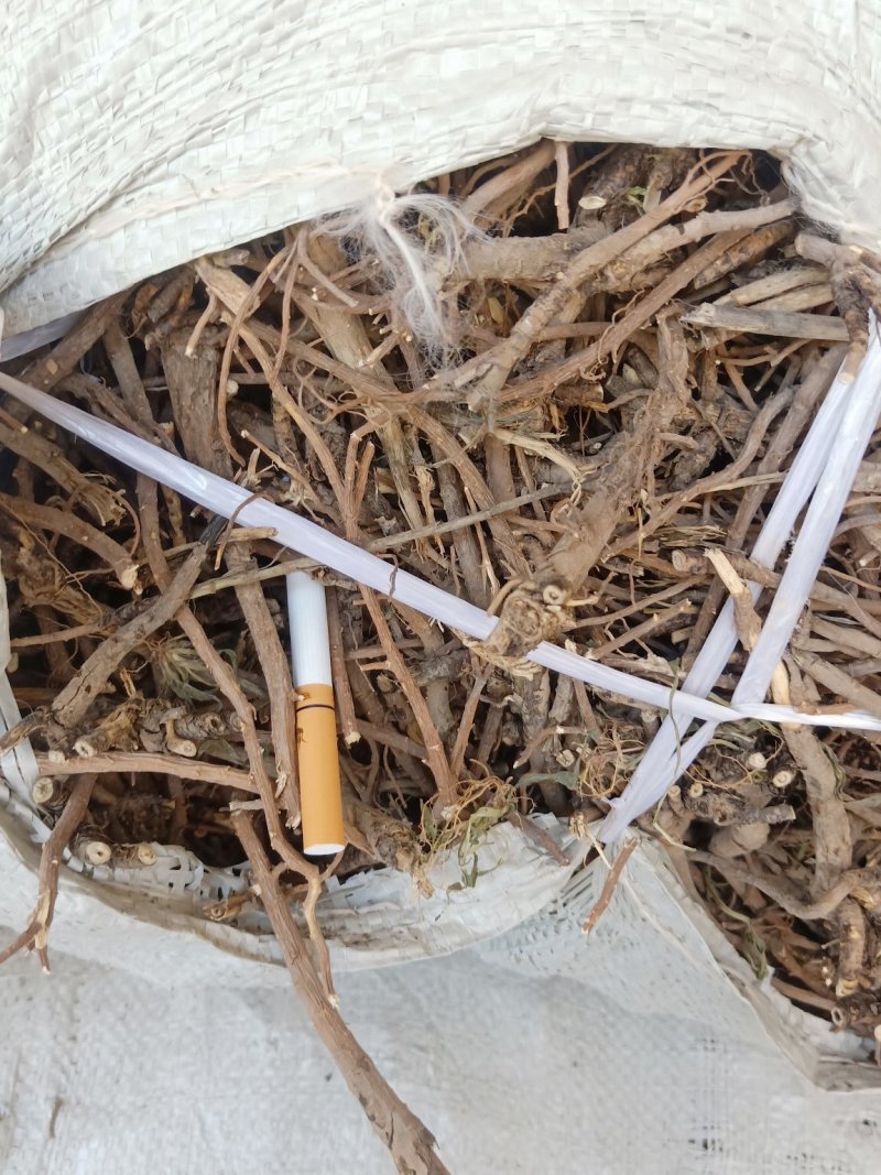 北柴胡药厂货干净无杂含量足