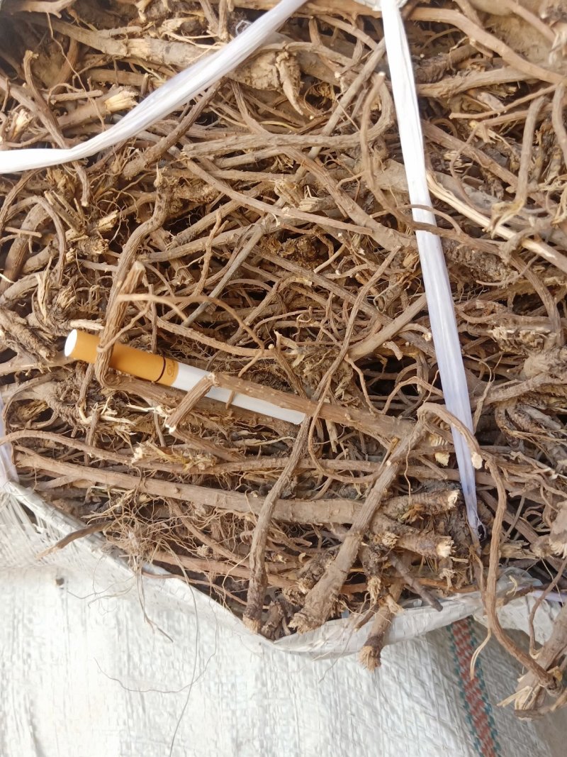 北柴胡药厂货干净无杂含量足