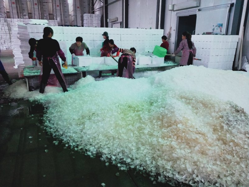 浙江台州精品西兰花大量上市可开发票提供一条龙服务