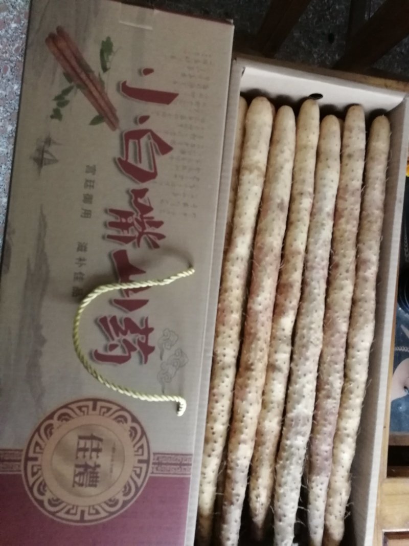 河北小白嘴山药大量批发，代加工