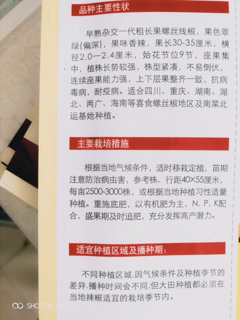 领跑线4号/线椒种子/辣椒种子/香辣型包邮