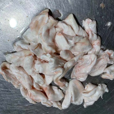 江团鱼泡