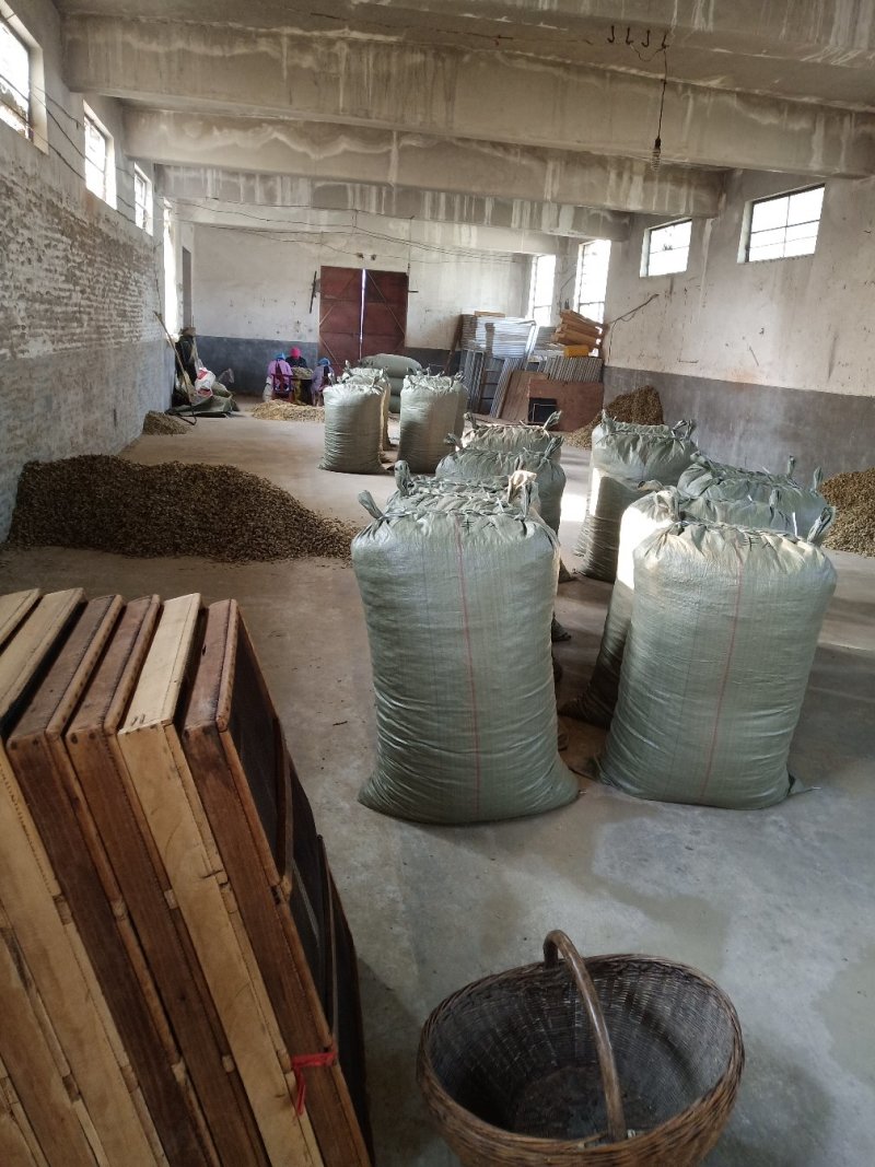 辛夷批发价格可协商纯野生天然货产地直销药食同源