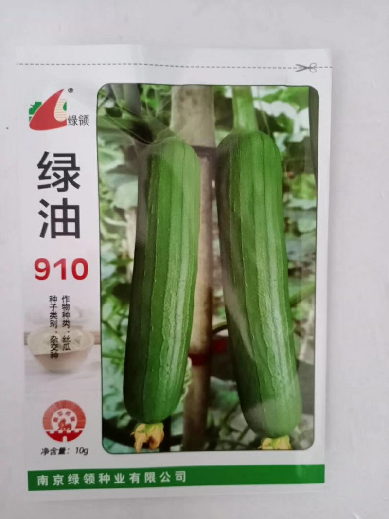 绿领绿油910丝瓜种子