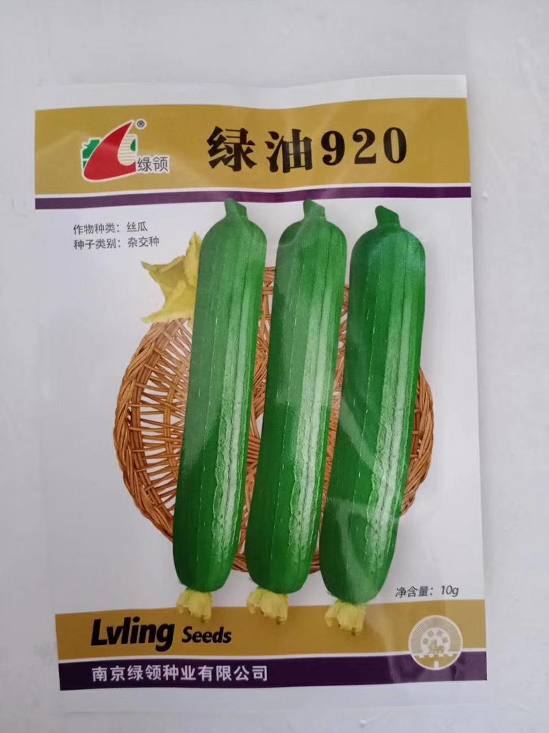 绿领绿油910丝瓜种子