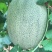 山东精品甜瓜香瓜耀珑25娇蜜25西州蜜网纹瓜