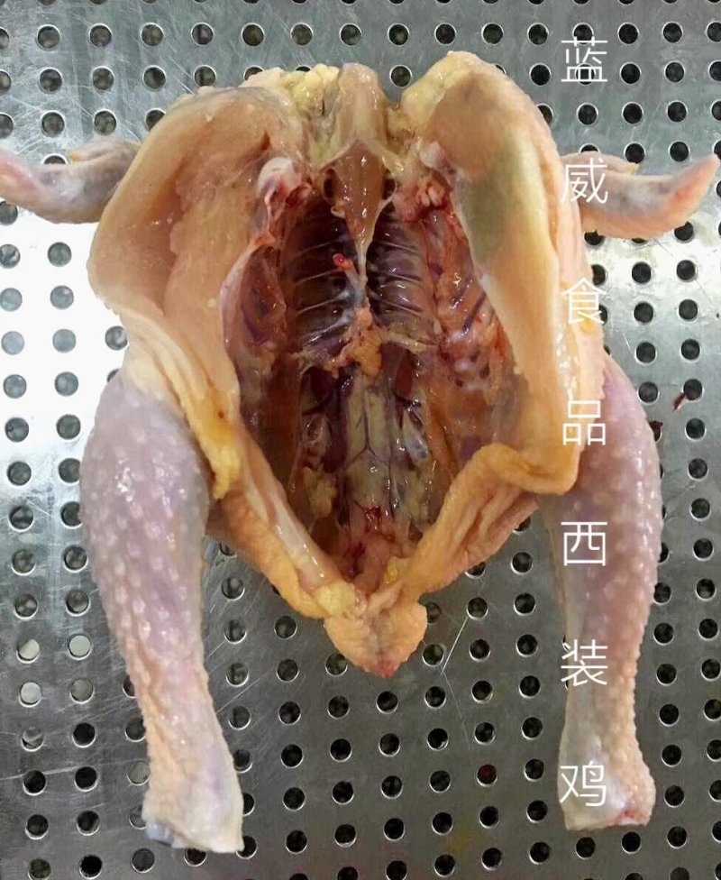 聊城市蓝威食品西装鸡