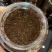 长白山君芝草有机灵芝孢子粉正规手续微供货源产地直销
