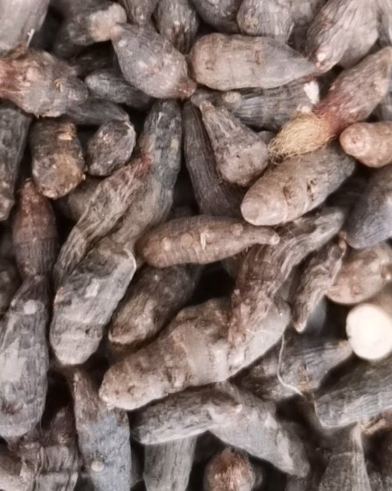 同奎中药材香附个香附片香附批发各种中药材