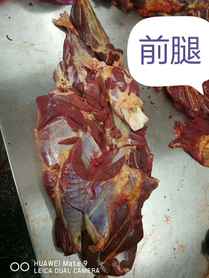 马肉新鲜马肉有4分体，8分体，质量保证一手货源。