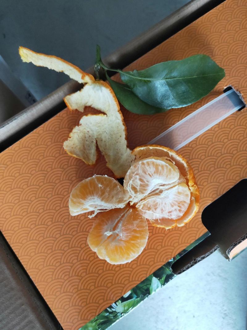 新品种华癸砂糖橘苗丰产性强栽培条件宽广。