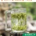 白茶正宗安吉2020年新茶叶礼盒装250g有好货一件代发