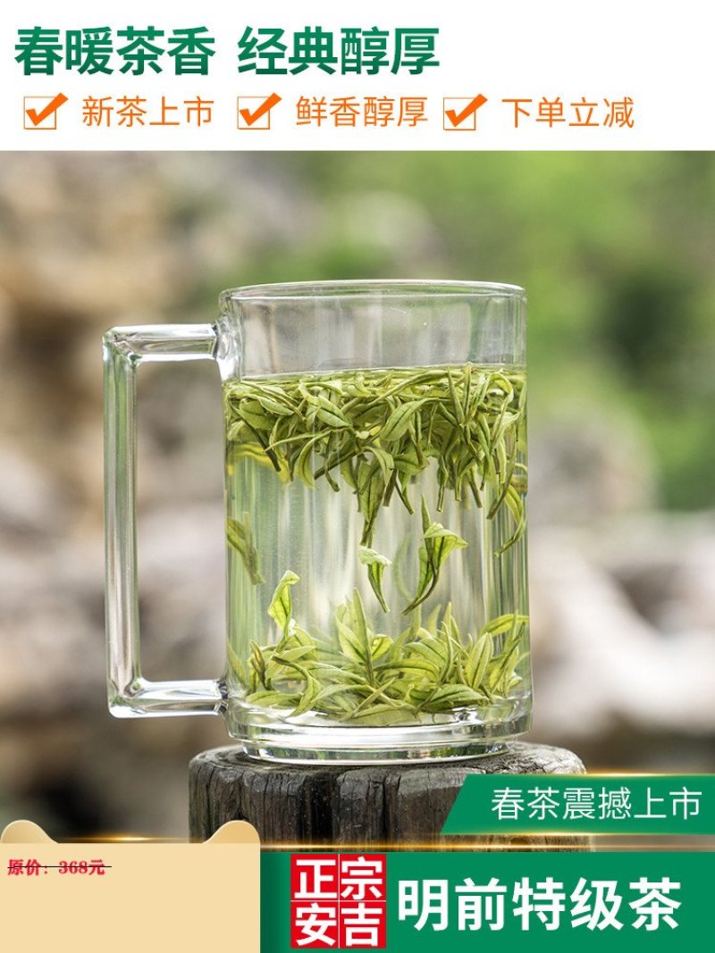 白茶正宗安吉2020年新茶叶礼盒装250g有好货一件代发